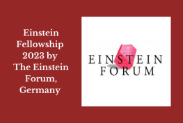 Einstein Fellowship 2023 by The Einstein Forum, Germany