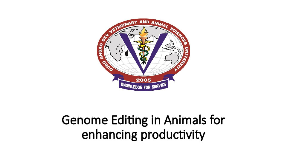 Genome Editing in Animals for enhancing productivity