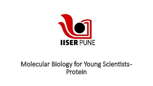 Molecular Biology for Young Scientists - Protein